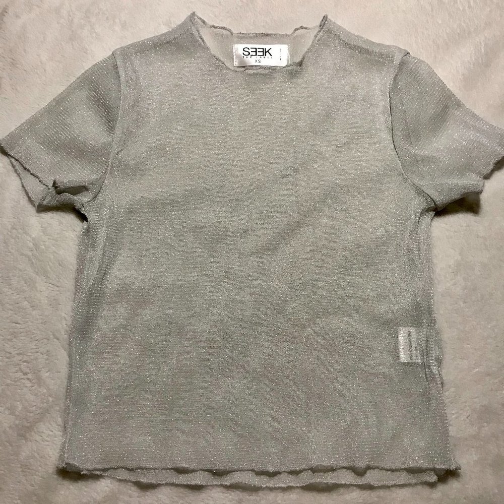 Sparkly Silver Sheer Crop Top